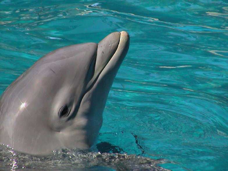 Well, hello handsome!